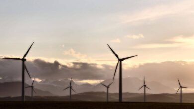 Верховный суд Испании вновь отверг требования к проекту Teruel Clúster Maestrazgo RUSSPAIN.COM