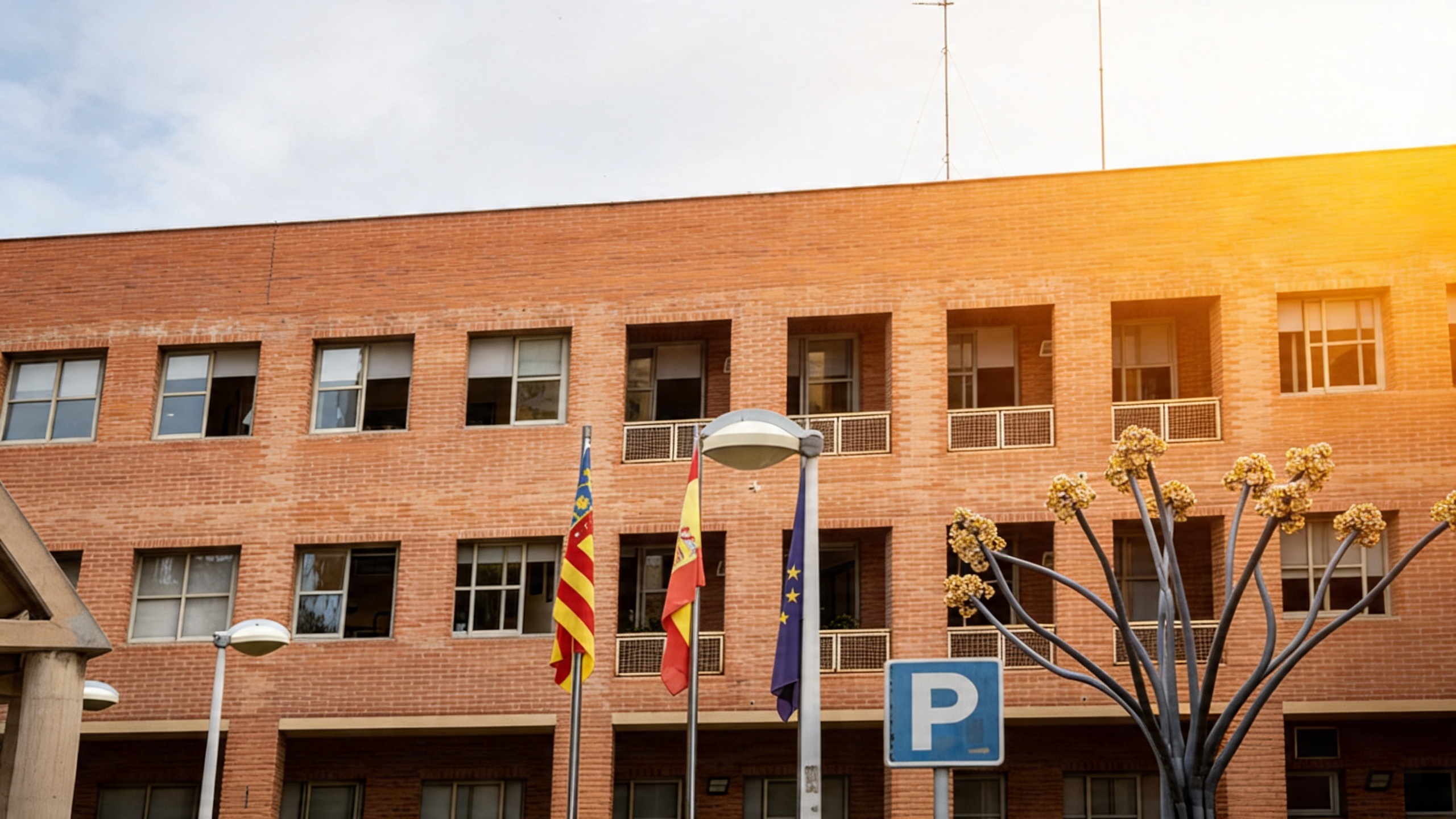 Valencia Deputy Head of Teacher Training Dismissed Over Controversial Book